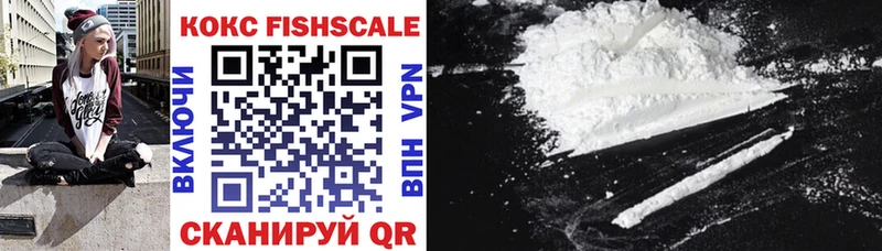 Cocaine Fish Scale  Купить закладки  Дзержинский 