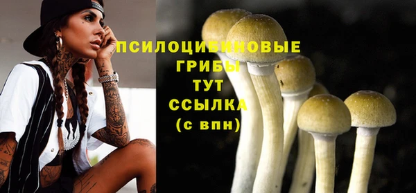 ГАЛЛЮЦИНОГЕННЫЕ ГРИБЫ Иннополис