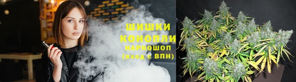ГАЛЛЮЦИНОГЕННЫЕ ГРИБЫ Иннополис