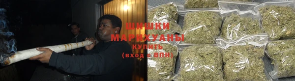 ГАЛЛЮЦИНОГЕННЫЕ ГРИБЫ Иннополис