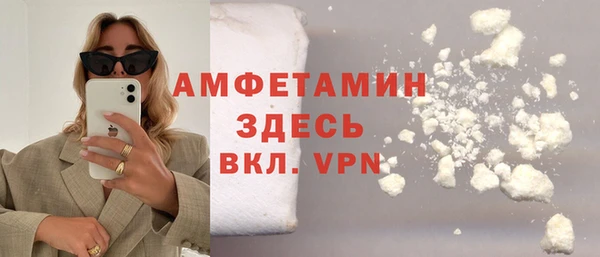 ПСИЛОЦИБИНОВЫЕ ГРИБЫ Инсар