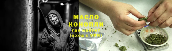ПСИЛОЦИБИНОВЫЕ ГРИБЫ Инсар