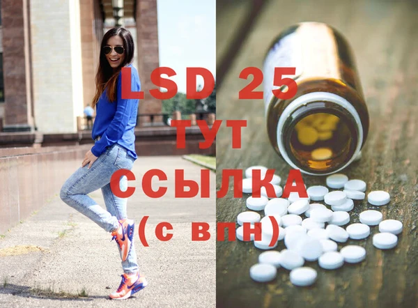 ПСИЛОЦИБИНОВЫЕ ГРИБЫ Инсар