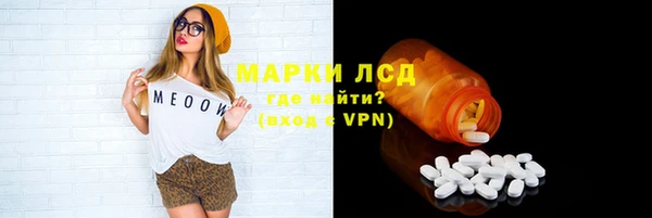 ПСИЛОЦИБИНОВЫЕ ГРИБЫ Инсар