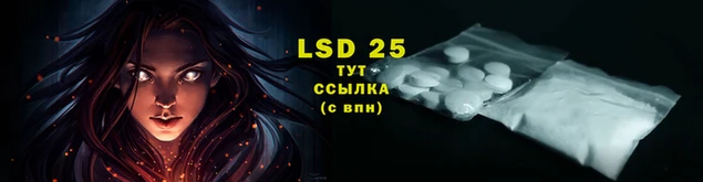 MESCALINE Инта