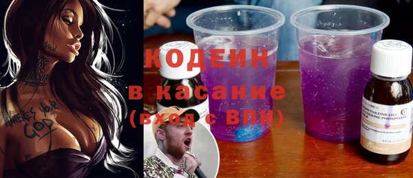 ПСИЛОЦИБИНОВЫЕ ГРИБЫ Инсар