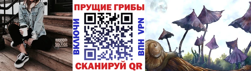 Псилоцибиновые грибы Magic Shrooms  Купить  Дзержинский 